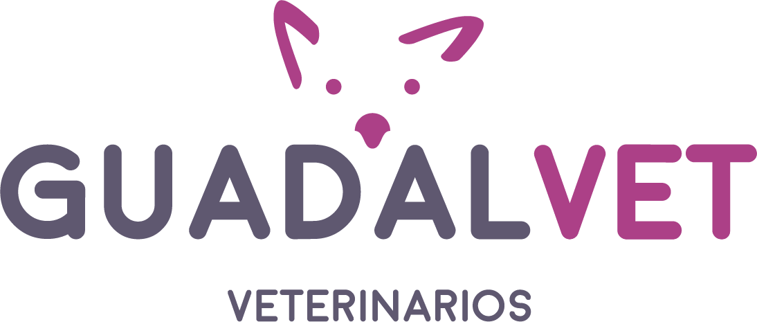 Guadalvet Veterinarios | Veterinarios en Guadalcacín | Veterinarios en Jerez
